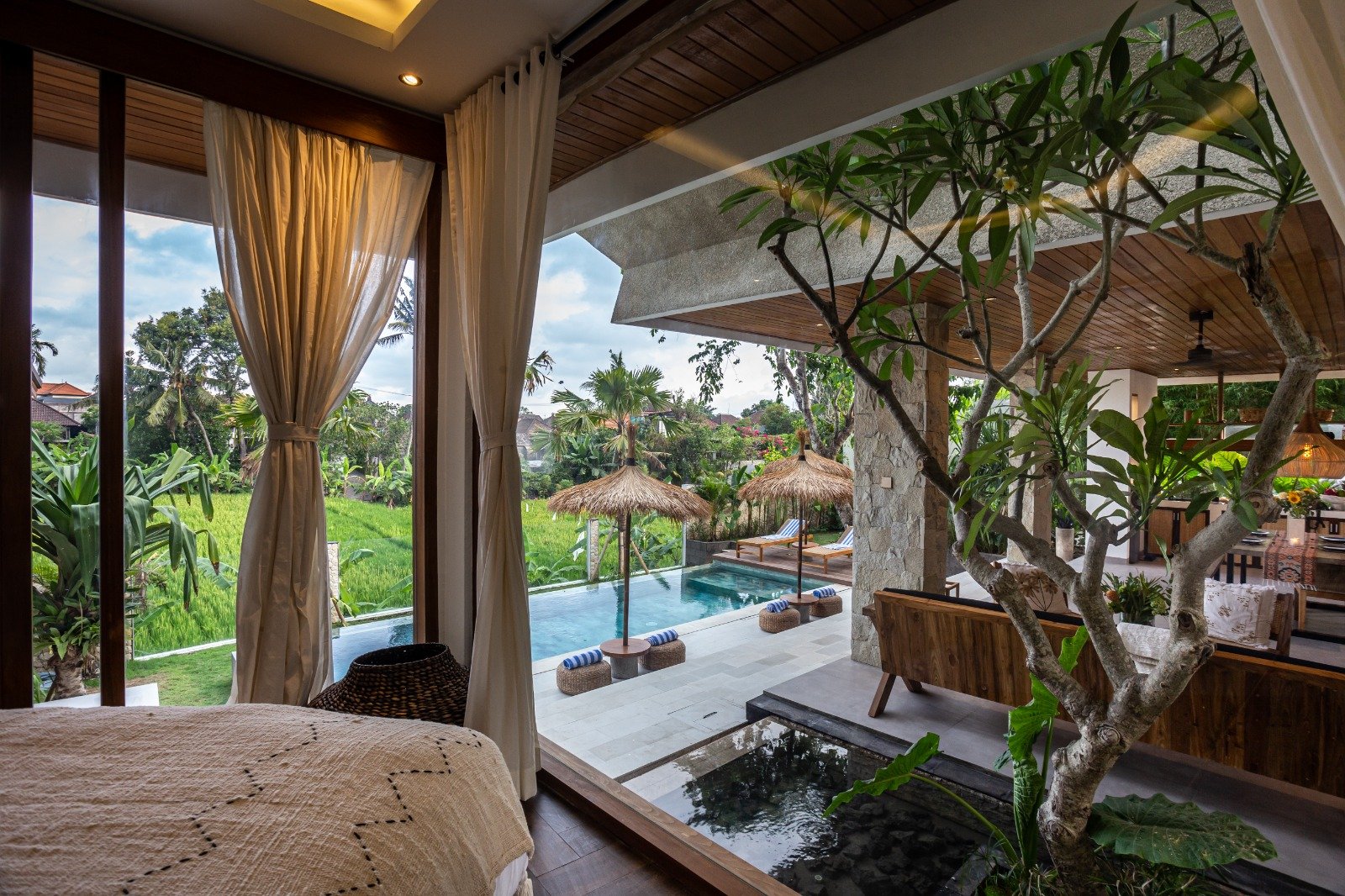 Kaulu Concept portfolio showcase